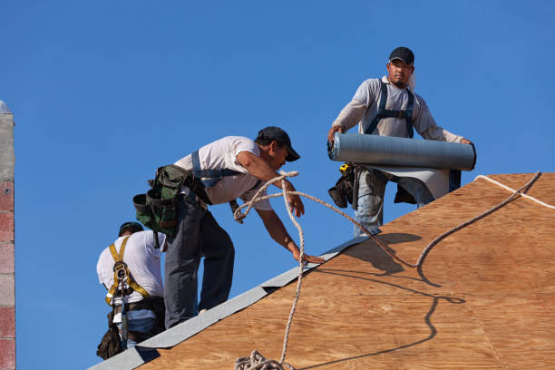 Best Roof Repair Specialists  in Albion, PA